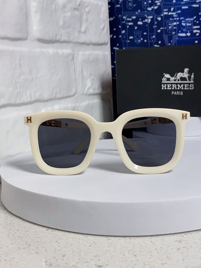 Hermes Sunglasses 821519-5 Hermes Sunglasses 821519-5