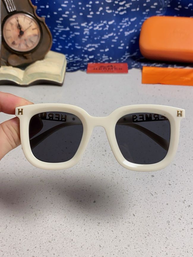 Hermes Sunglasses 821519-5 Hermes Sunglasses 821519-5