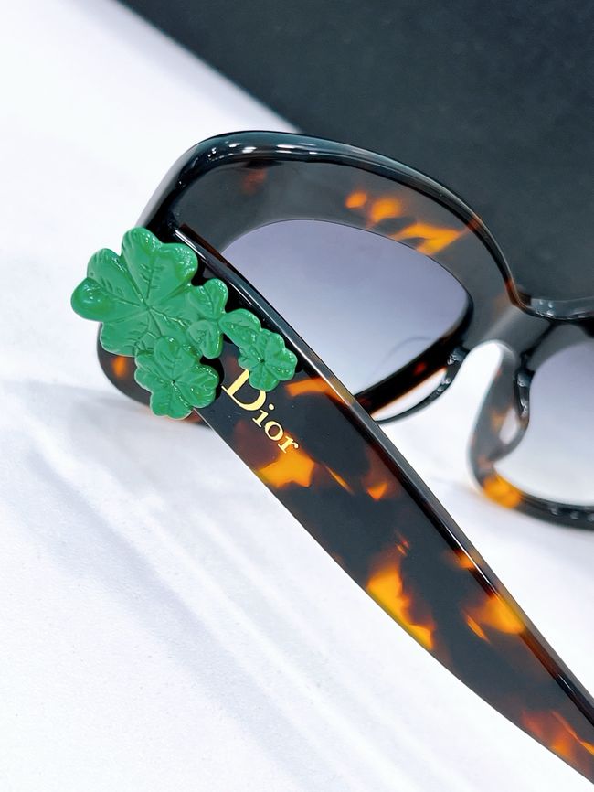 Dior Sunglasses 821536-1