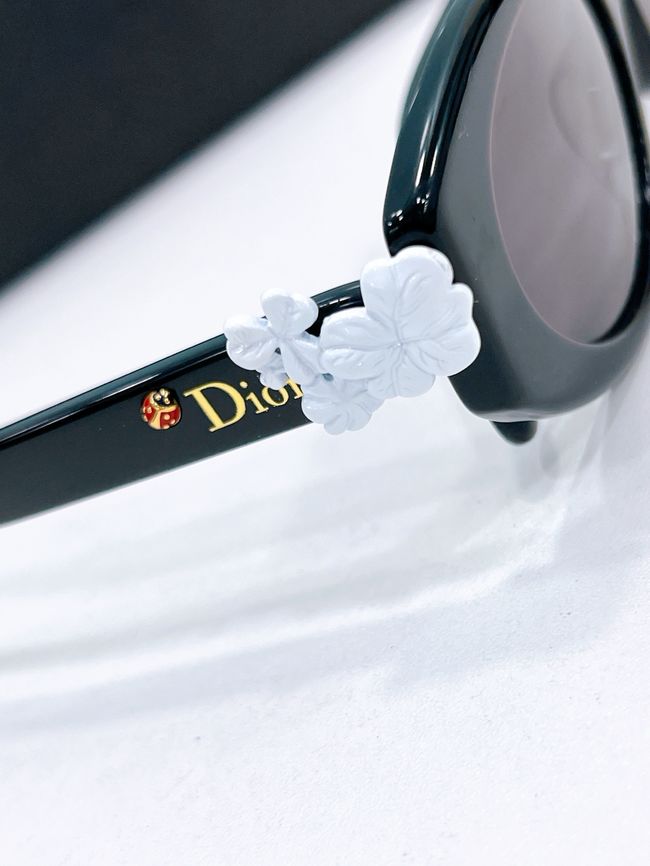 Dior Sunglasses 821537-9 Dior Sunglasses 821537-9
