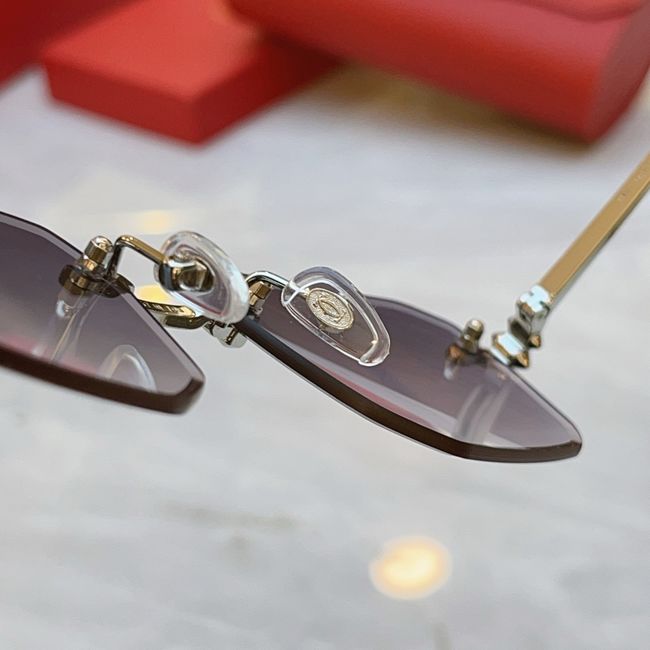 Cartier Sunglasses 821575-6 Cartier Sunglasses 821575-6