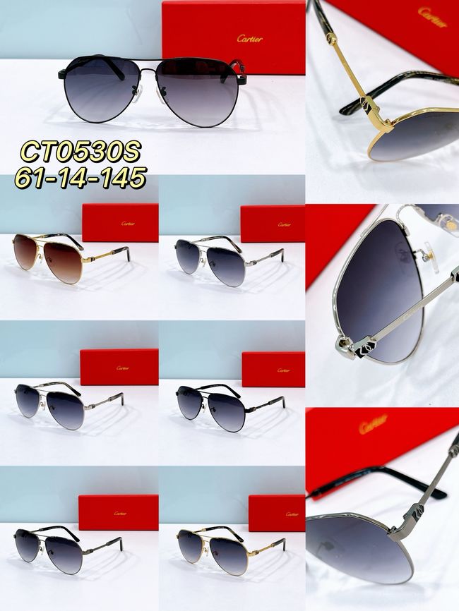 Cartier Sunglasses 821584-9