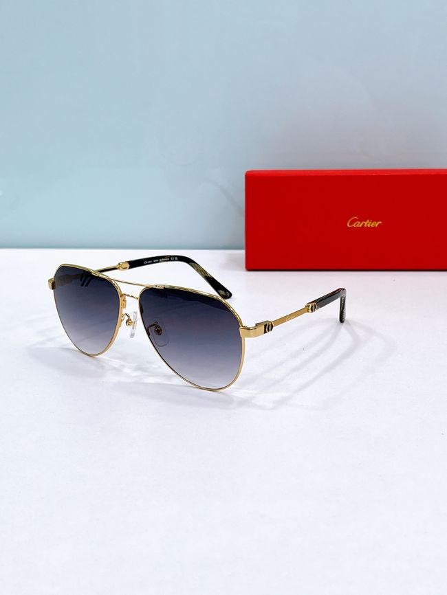 Cartier Sunglasses 821585-3