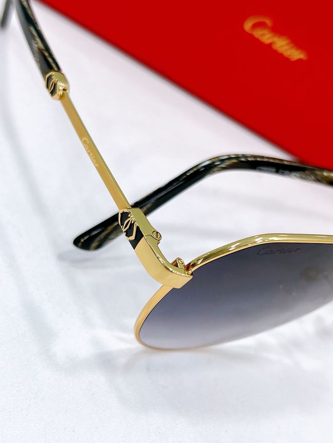 Cartier Sunglasses 821585-3 Cartier Sunglasses 821585-3