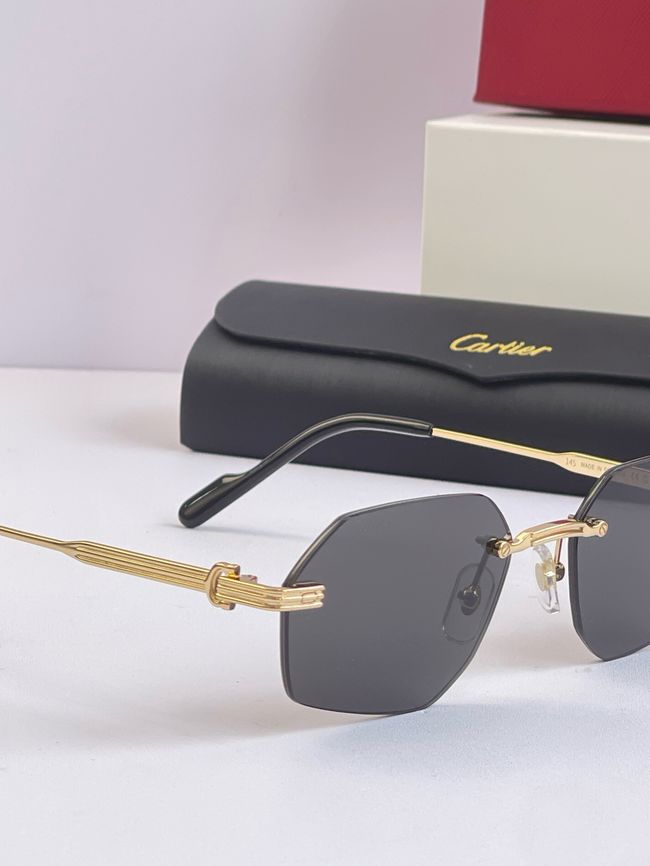 Cartier Sunglasses 821601-3 Cartier Sunglasses 821601-3