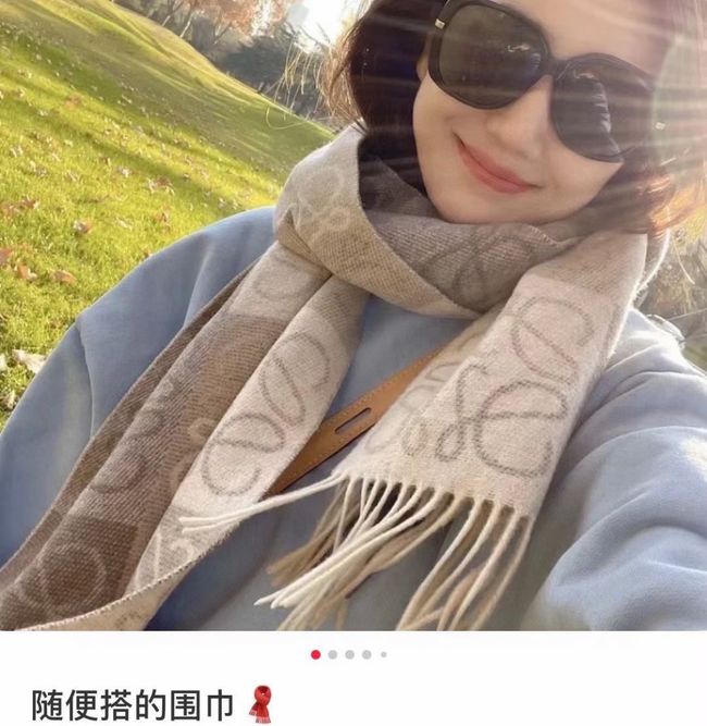Loewe cashmere scarf 0018-2