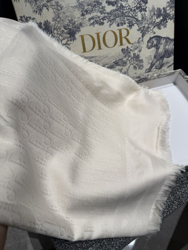Dior cashmere Shawl KY205-2 Dior cashmere Shawl KY205-2