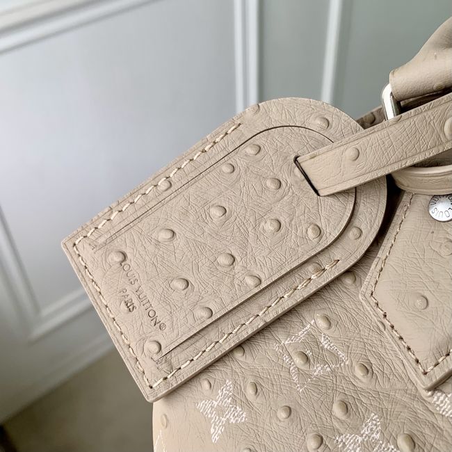 Louis Vuitton Runway Speedy P9 Bandouliere 30 M24425 Dark Beige Louis Vuitton Runway Speedy P9 Bandouliere 30 M24425 Dark Beige