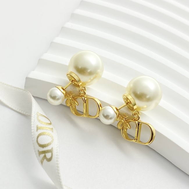 Dior Earrings CE89987