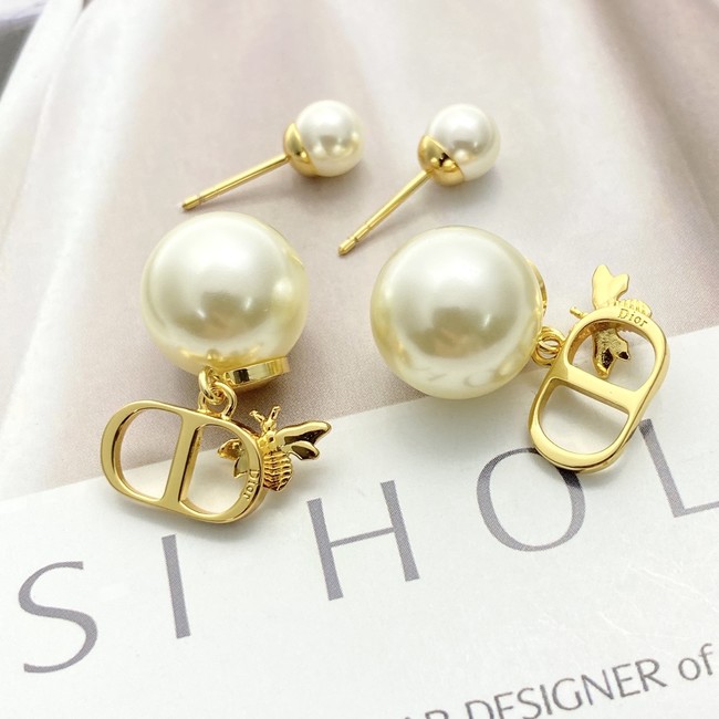 Dior Earrings CE89987